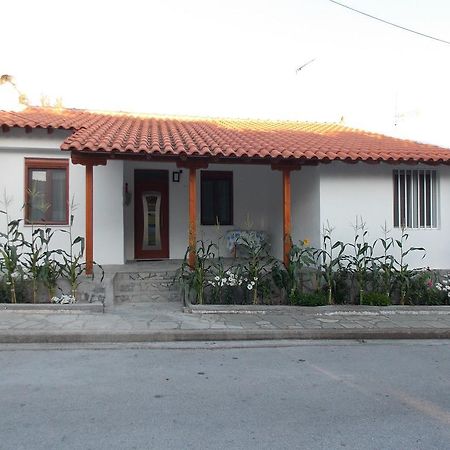 Galina Holiday Home Agios Evstratios Exteriér fotografie