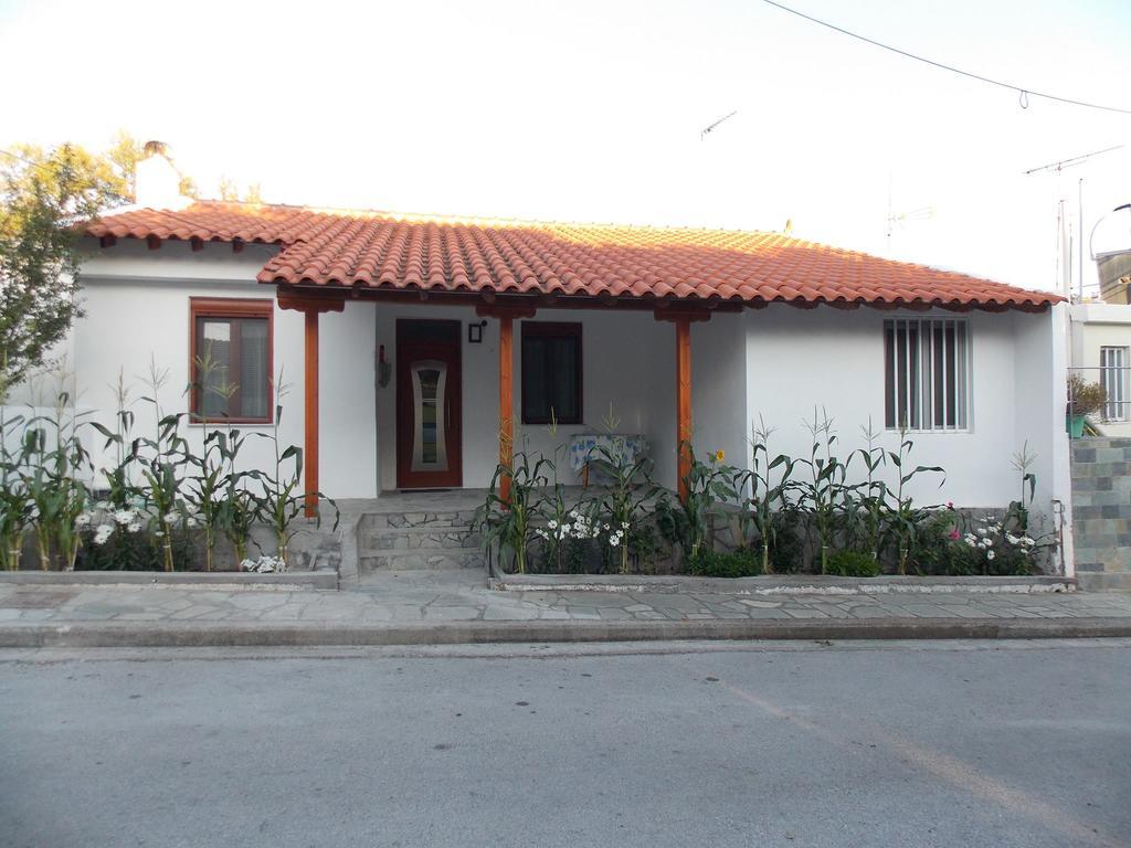 Galina Holiday Home Agios Evstratios Exteriér fotografie